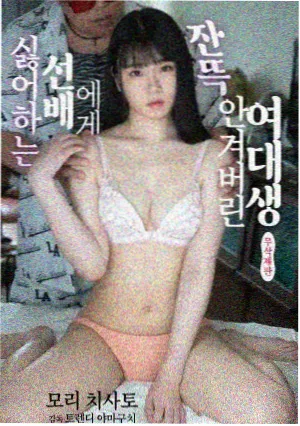 旧城手记影片封面图